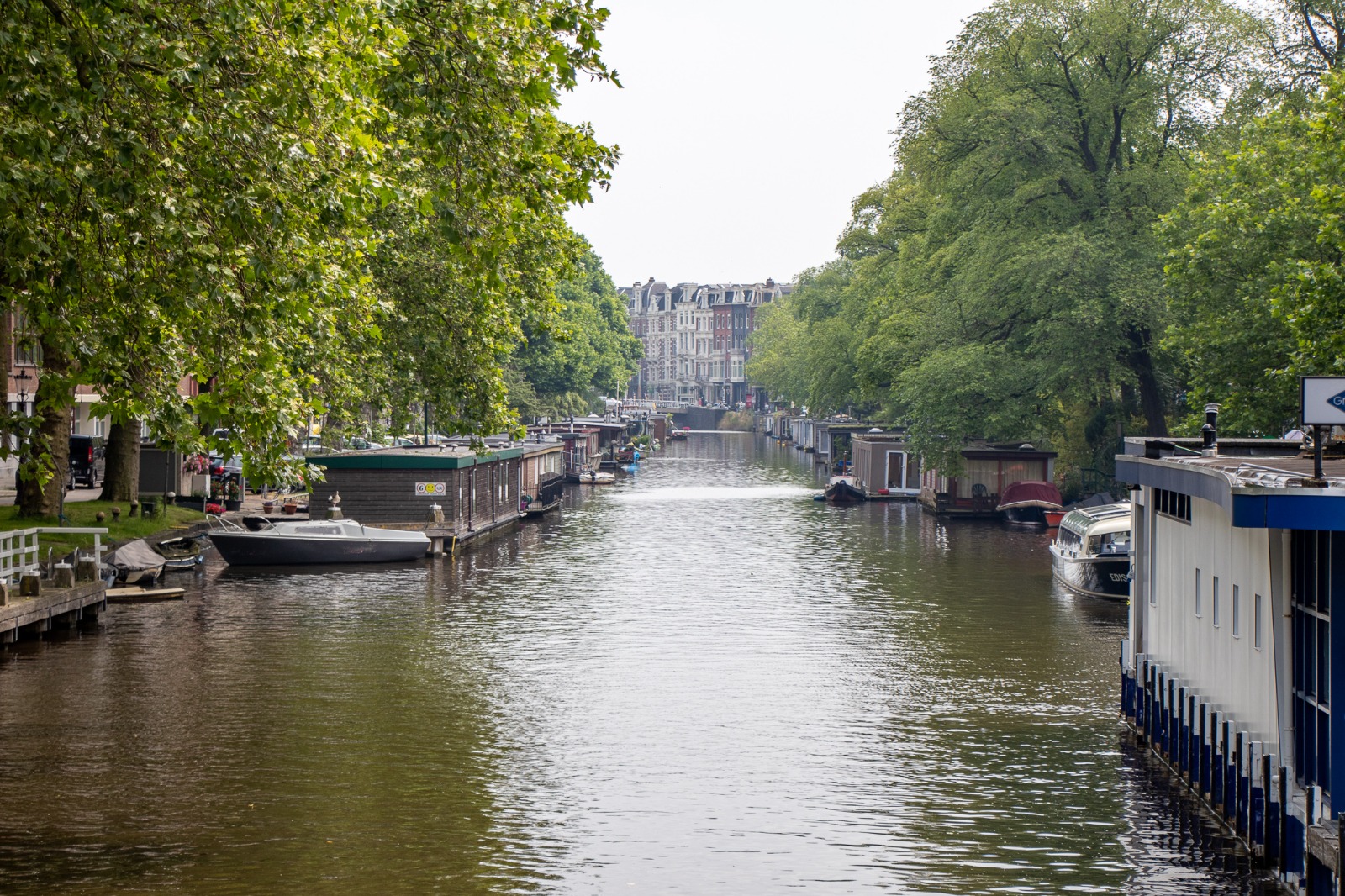 Amsterdam canal lined with trees and houseboats in the Netherlands