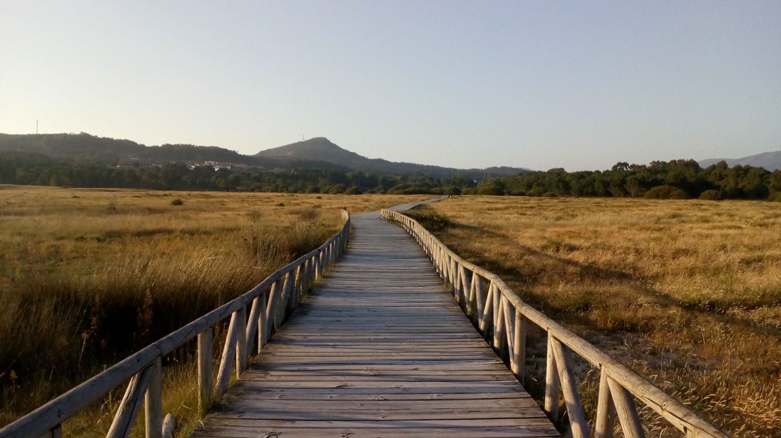 Footbridge in Corrubedo Dunes and Carregal Natural Park, Galicia, Spain