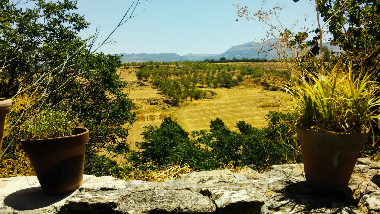 Andalusian countryside surrounding Ronda, Spain