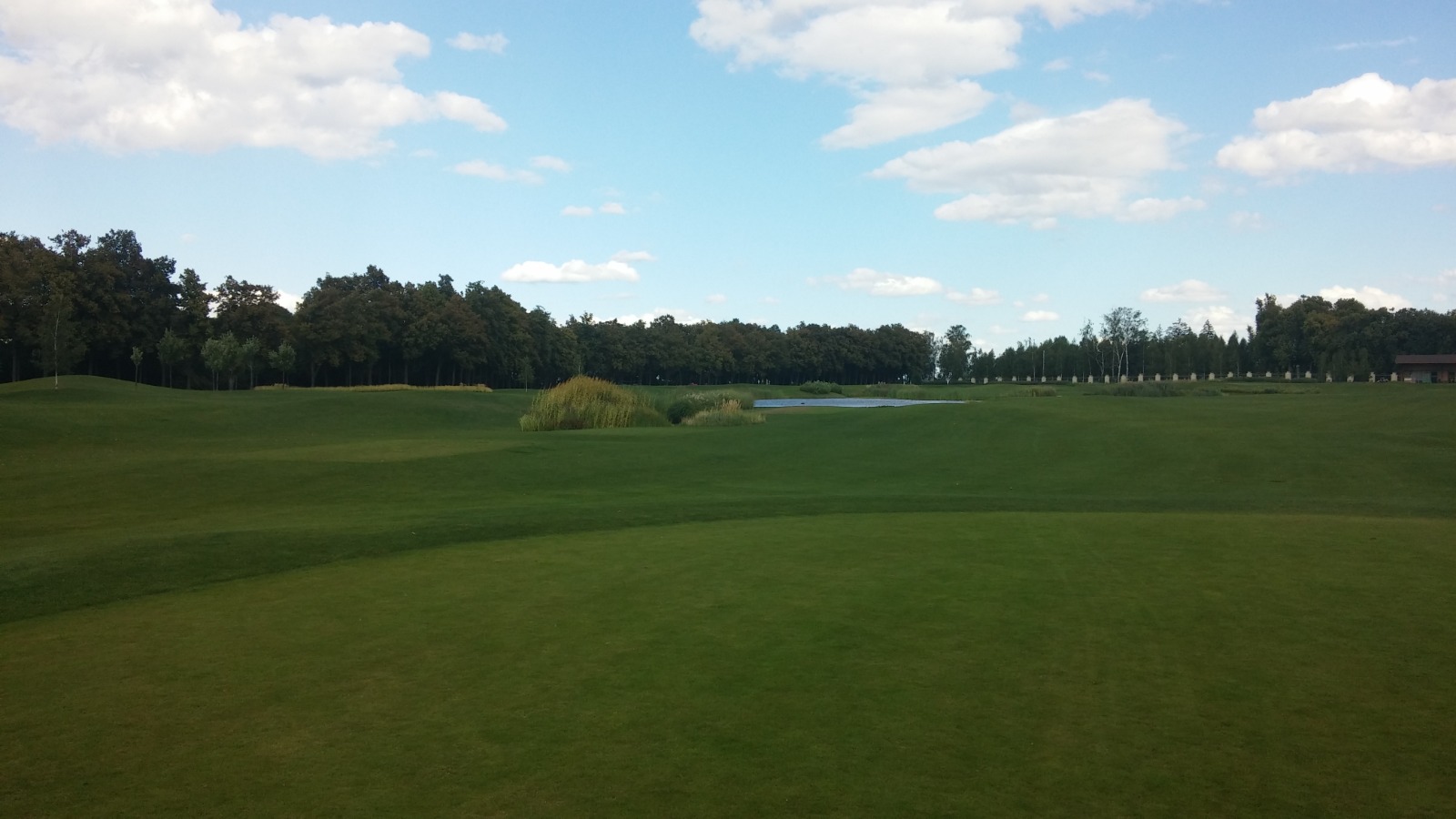Golf course at Mezhyhirya Residence