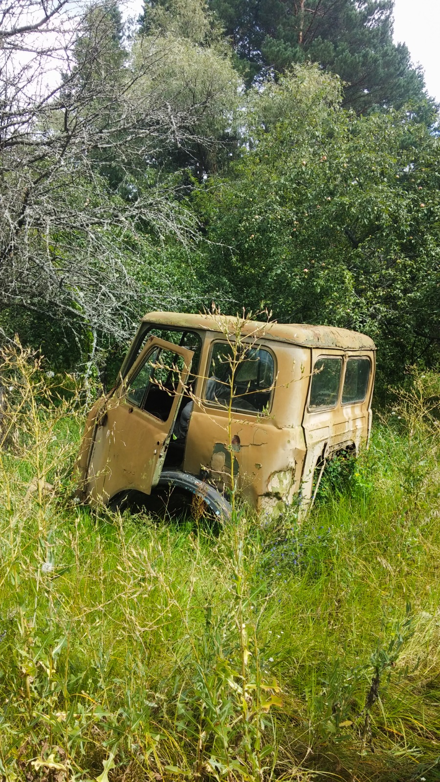 Abandoned vehicle in the forest near Pripyat, Ukraine
